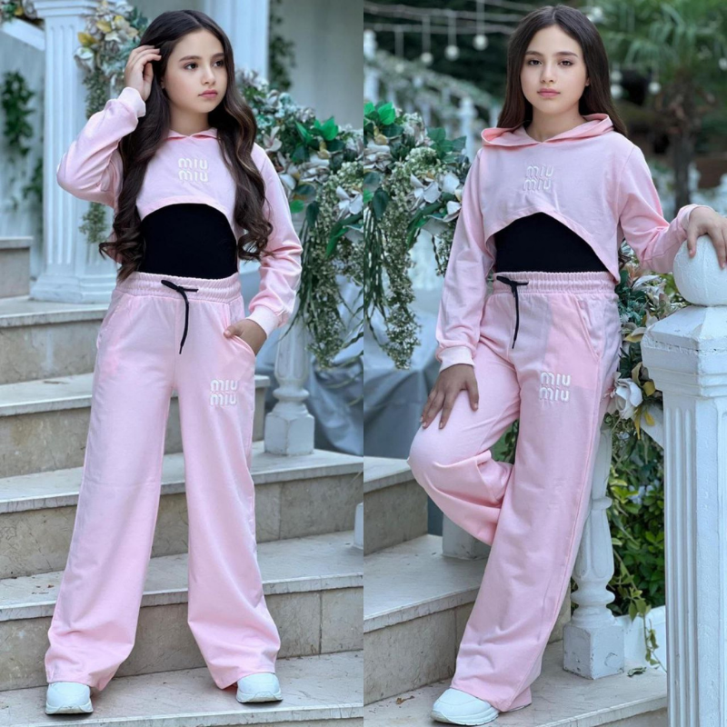 Ensemble Icon Crop