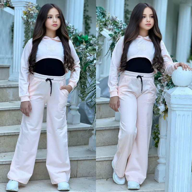 Ensemble Icon Crop