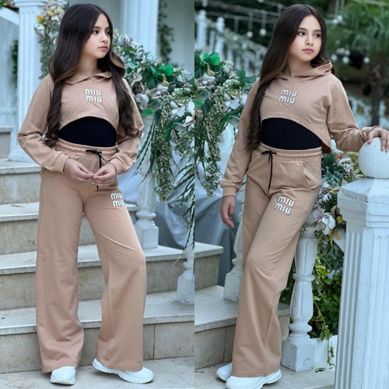 Ensemble Icon Crop