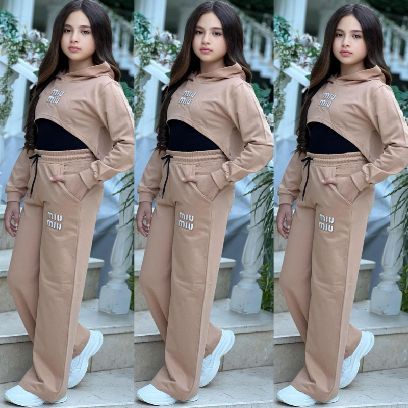Ensemble Icon Crop
