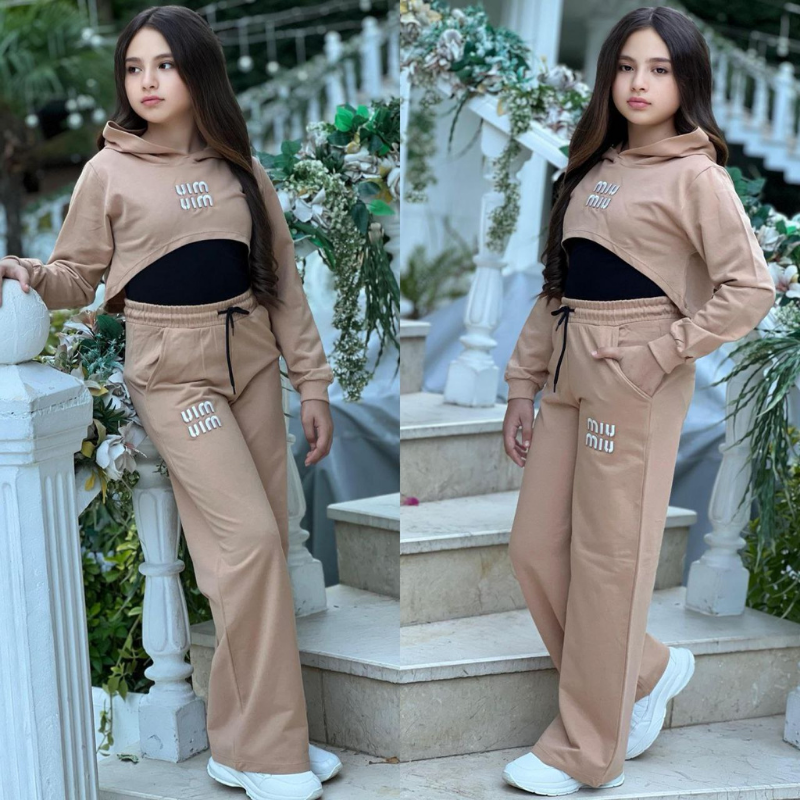 Ensemble Icon Crop