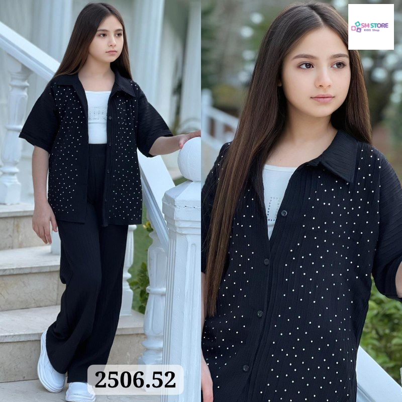 Ensemble Flowfit