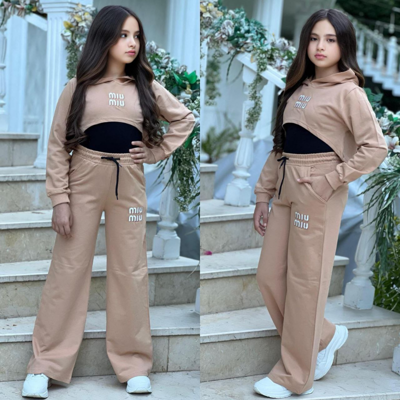Ensemble Icon Crop