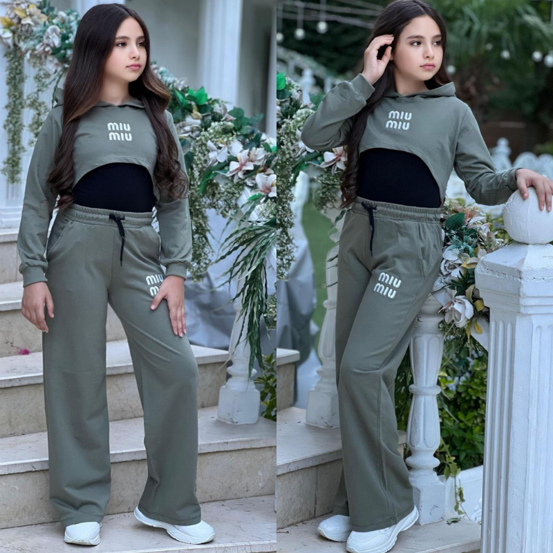 Ensemble Icon Crop