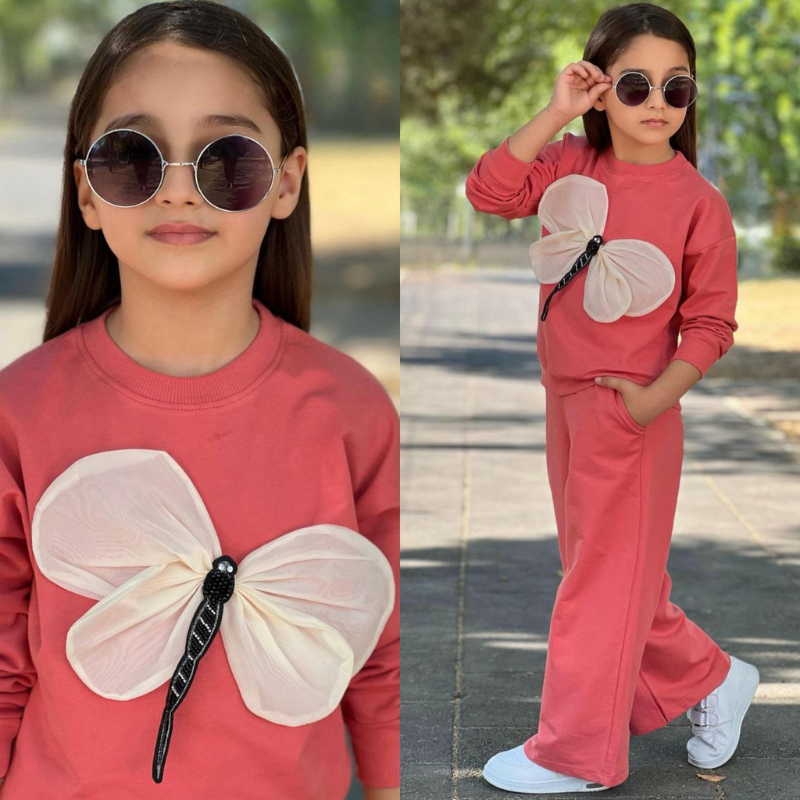 Ensmble Butterfly