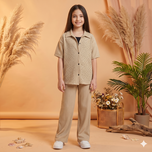 Ensemble Flowfit